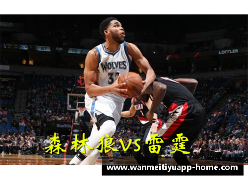 NBA明星中心狼带：球场风云与个人传奇
