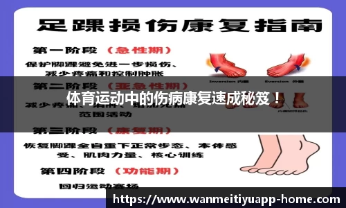完美体育官网