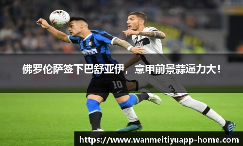 完美体育官网
