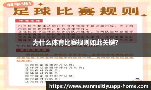 完美体育平台
